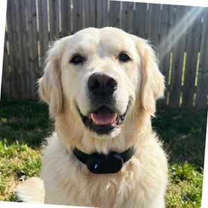 Sarah M., Austin, TX