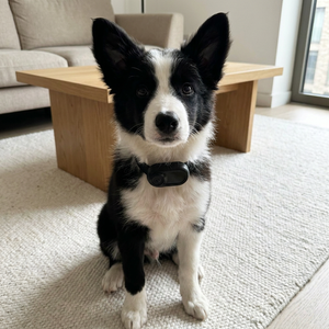 Chloe L., London, UK